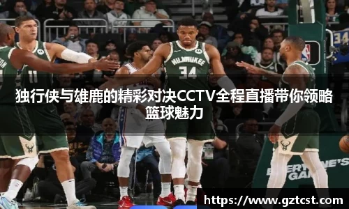 独行侠与雄鹿的精彩对决CCTV全程直播带你领略篮球魅力
